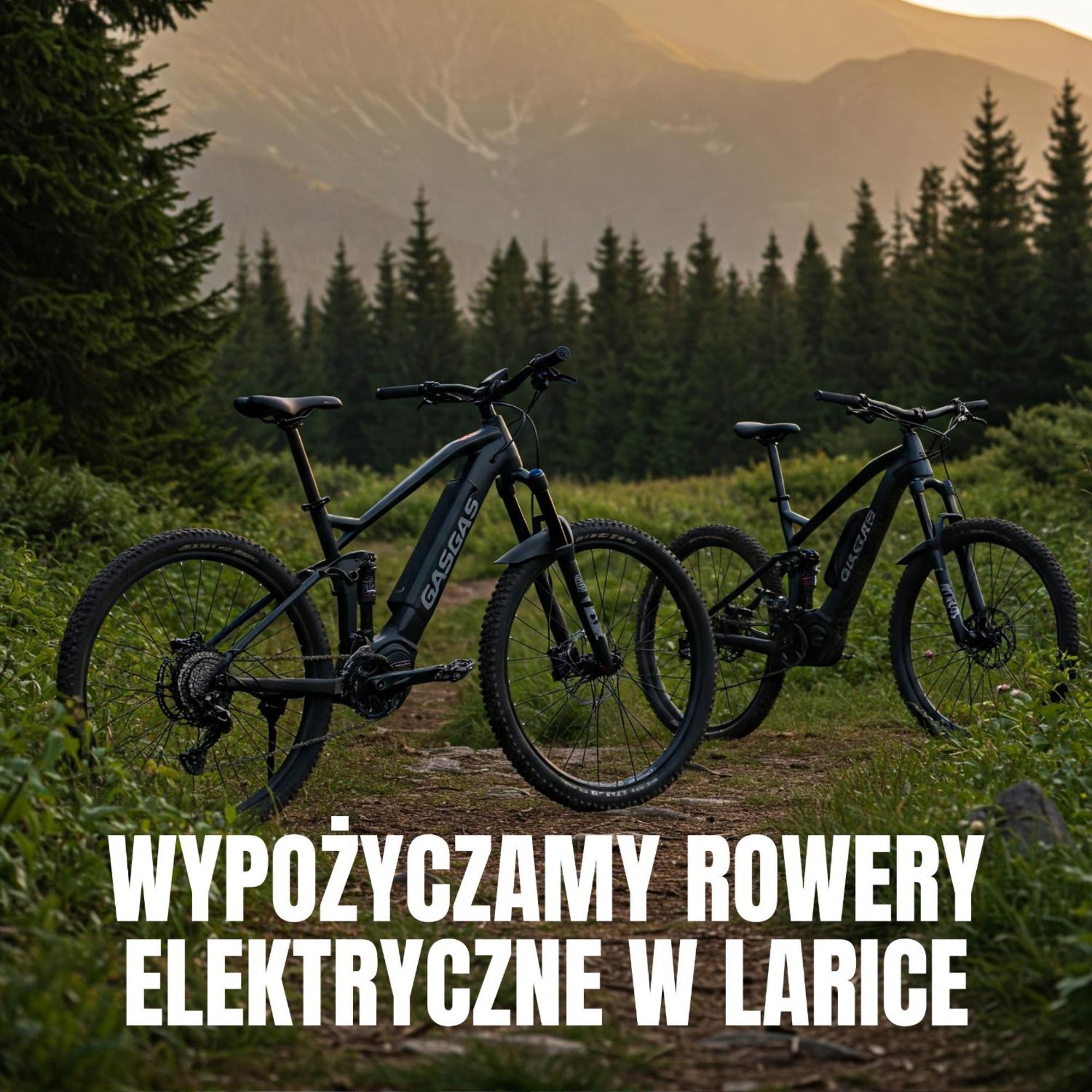Apartamenty Larice - Podgrzewany Basen, Balia I Sauna Świeradów-Zdrój المظهر الخارجي الصورة
